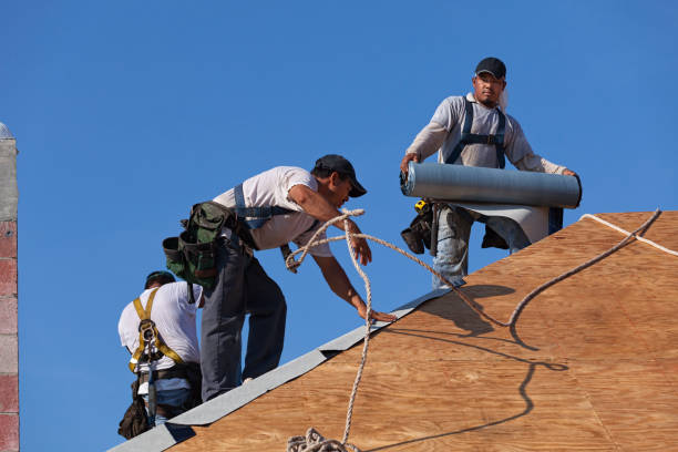 Best Roof Repair Services  in Crimora, VA
